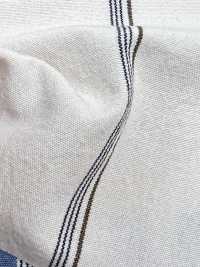 BC3543 فويل مخطط[نسيج / قماش] COSMO TEXTILE صور إضافية