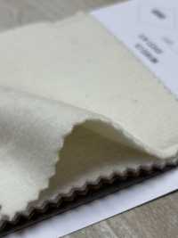 80660 SP100 بيفر ممتاز[Textile / Fabric] Parica صور إضافية