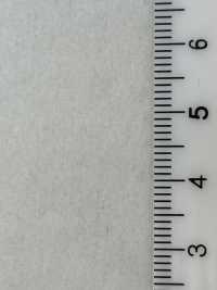 80660 SP100 بيفر ممتاز[Textile / Fabric] Parica صور إضافية