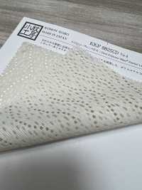 KKF8825CD P/CD ميلبا دانتيل بعرض واسع[Textile / Fabric] Uni Textile (Komon Kobo) صور إضافية