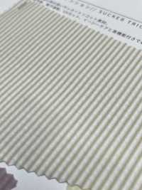 6710 Namiko تريكو سيرساكر عالي الشد[Textile / Fabric] SASAKISELLM صور إضافية