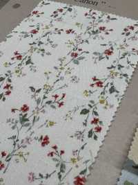 850523 SEVENBERRY® برودكلوث قطن غير مبيّض Antique De Canon[نسيج / قماش] VANCET صور إضافية