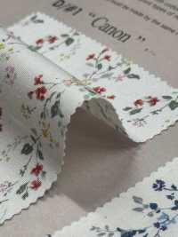 850523 SEVENBERRY® برودكلوث قطن غير مبيّض Antique De Canon[نسيج / قماش] VANCET صور إضافية