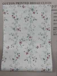 850523 SEVENBERRY® برودكلوث قطن غير مبيّض Antique De Canon[نسيج / قماش] VANCET صور إضافية