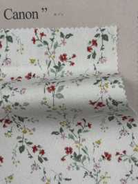 850523 SEVENBERRY® برودكلوث قطن غير مبيّض Antique De Canon[نسيج / قماش] VANCET صور إضافية
