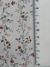 850523 SEVENBERRY® برودكلوث قطن غير مبيّض Antique De Canon[نسيج / قماش] VANCET صور إضافية