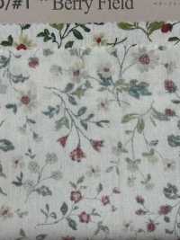850525 SEVENBERRY® برودكلوث قطن غير مبيض Antique D Berryfield[Textile / Fabric] VANCET صور إضافية