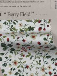 850525 SEVENBERRY® برودكلوث قطن غير مبيض Antique D Berryfield[Textile / Fabric] VANCET صور إضافية