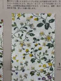 850525 SEVENBERRY® برودكلوث قطن غير مبيض Antique D Berryfield[Textile / Fabric] VANCET صور إضافية