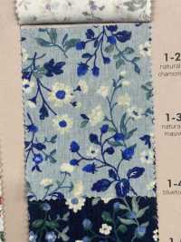 850525 SEVENBERRY® برودكلوث قطن غير مبيض Antique D Berryfield[Textile / Fabric] VANCET صور إضافية