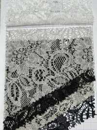 54331 راشيل كورد بحافة صدفية مزدوجة[Textile / Fabric] Parica صور إضافية