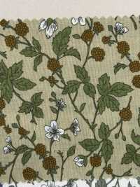 850531 SEVENBERRY® لاون قطن غير مبيّض زهرة كئيبة بلاكبيري[Textile / Fabric] VANCET صور إضافية
