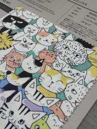 850536 SEVENBERRY® أوكسفورد قطن غير مبيّض Nyanko Comics[Textile / Fabric] VANCET صور إضافية