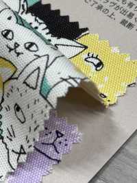 850536 SEVENBERRY® أوكسفورد قطن غير مبيّض Nyanko Comics[Textile / Fabric] VANCET صور إضافية