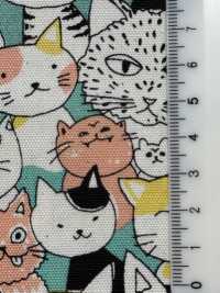 850536 SEVENBERRY® أوكسفورد قطن غير مبيّض Nyanko Comics[Textile / Fabric] VANCET صور إضافية