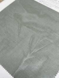 KKC134HOG-W فوَايْل قطني 100/2، تشطيب أورغانزا صلب، عرض واسع[نسيج / قماش] Uni Textile (Komon Kobo) صور إضافية