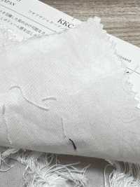KKC837-D1 جاكار شاجي[Textile / Fabric] Uni Textile (Komon Kobo) صور إضافية