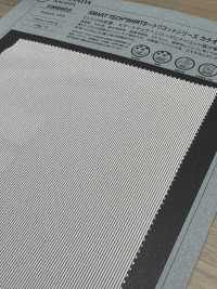 1066603 SMART TEACH® قمصان ~ سلسلة Tricot مخطط كاتيوني ~[نسيج / قماش] Takisada صور إضافية