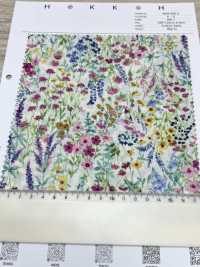 4026-660-2 60 لاون زهور بألوان مائية[Textile / Fabric] HOKKOH صور إضافية