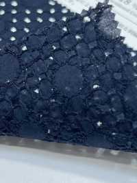 KCL518-D311 60 دانتيل لاون[نسيج / قماش] Uni Textile (Komon Kobo) صور إضافية