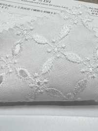 KCL522-D191 60 لاون دانتيل[نسيج / قماش] Uni Textile (Komon Kobo) صور إضافية