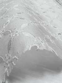KCL522-D191 60 لاون دانتيل[نسيج / قماش] Uni Textile (Komon Kobo) صور إضافية