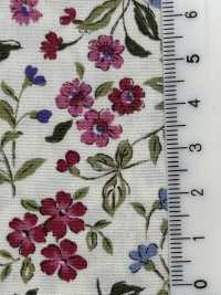 KTS2568 برودكلوث بطباعة زهرية[Textile / Fabric] Cotton Kobayashi صور إضافية