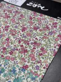KTS2704 برودكلوث بطباعة زهور[نسيج / قماش] Cotton Kobayashi صور إضافية