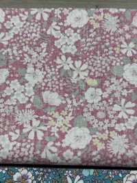 KTS6097 برودكلوث بطباعة زهور[نسيج / قماش] Cotton Kobayashi صور إضافية