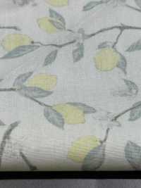 KTS6951 برودكلوث بطباعة أغصان الليمون[نسيج / قماش] Cotton Kobayashi صور إضافية