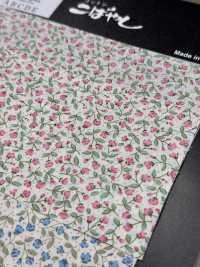 KTS7115 1 برودكلوث بطباعة زهرة الجيبسوفيلا[نسيج / قماش] Cotton Kobayashi صور إضافية