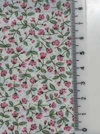 KTS7115 1 برودكلوث بطباعة زهرة الجيبسوفيلا[نسيج / قماش] Cotton Kobayashi صور إضافية