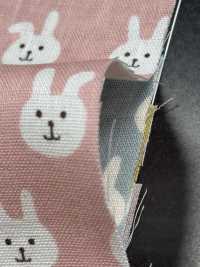 KTS7074 طباعة أرنب بربطة عنق على شاش مزدوج[Textile / Fabric] Cotton Kobayashi صور إضافية