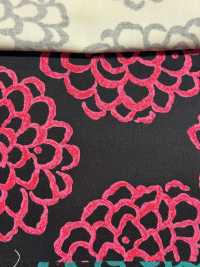 UP5540 تويل بطبعة داليا[نسيج / قماش] Cotton Kobayashi صور إضافية