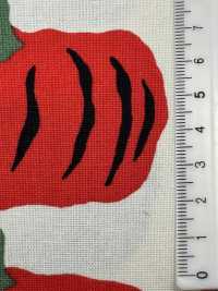 UP5910 10/1 كانفاس بطباعة اليقطين[نسيج / قماش] Cotton Kobayashi صور إضافية