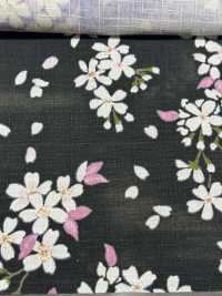 KTS6850 طبعة بنمط ساكورا صليب الجنوب[نسيج / قماش] Cotton Kobayashi صور إضافية