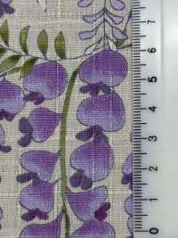KTS7094 Southern Cross طباعة بنمط زهري من ويستيريا[Textile / Fabric] Cotton Kobayashi صور إضافية