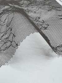KKF8459SH-W-D1 دانتيل تجميع من البوليستر بعرض واسع[نسيج / قماش] Uni Textile (Komon Kobo) صور إضافية