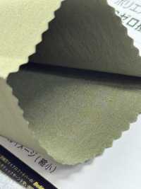 SW4441WR Beruseta® تفتا مطفي[Textile / Fabric] Sanwa Seni صور إضافية