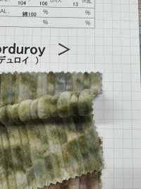 DCL880 Decolore Fancy Corduroy (Set) Corduroy[Textile / Fabric] Kumoi Beauty صور إضافية