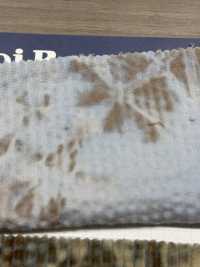 DCL658 Decolore 6W مخمل مضلّع مخمل مضلّع[نسيج / قماش] Kumoi Beauty صور إضافية