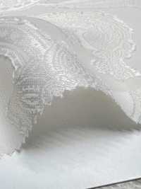 KKF4190-D301 جاكار مقصوص شيفون[نسيج / قماش] Uni Textile (Komon Kobo) صور إضافية