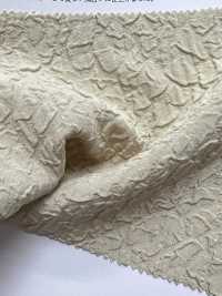KKF1324-W-D1 جاكار مزدوج النسج، عرض واسع[Textile / Fabric] Uni Textile (Komon Kobo) صور إضافية