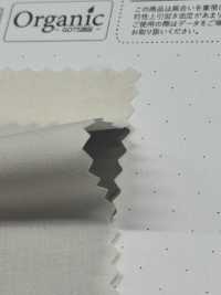 SBT-010 قماش تايب رايتر قطني عضوي لامع[نسيج / قماش] Kuwamura Textile صور إضافية