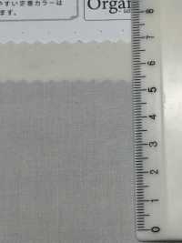SBT-010 قماش تايب رايتر قطني عضوي لامع[نسيج / قماش] Kuwamura Textile صور إضافية