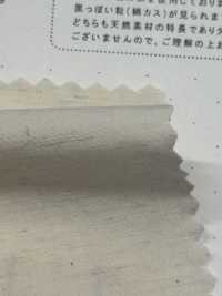 STL-9213 قماش تايب رايتر قطني وكتاني[نسيج / قماش] Kuwamura Textile صور إضافية