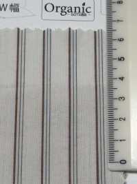 SBT-019 مخطط بتشطيب غسيل مجعّد طبيعي عضوي[نسيج / قماش] Kuwamura Textile صور إضافية