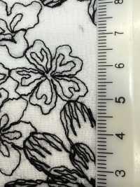 KCL525-DP-312 قماش لاون 60 من القطن مع دانتيل[نسيج / قماش] Uni Textile (Komon Kobo) صور إضافية