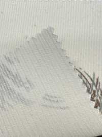 KCP212-DKD-689 طباعة كوردروي للقمصان 21W[نسيج / قماش] Uni Textile (Komon Kobo) صور إضافية