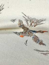 KCP212-DKD-689 طباعة كوردروي للقمصان 21W[نسيج / قماش] Uni Textile (Komon Kobo) صور إضافية